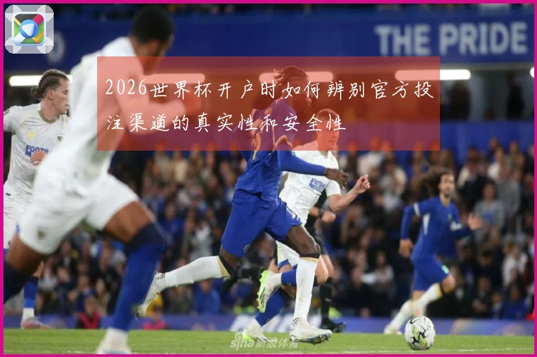 2026世界杯开户时如何辨别官方投注渠道的真实性和安全性