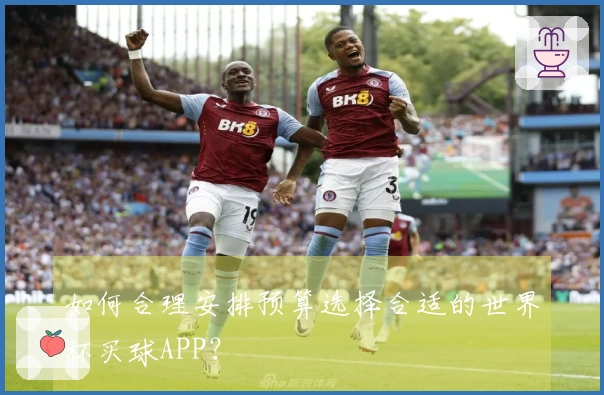 如何合理安排预算选择合适的世界杯买球APP？