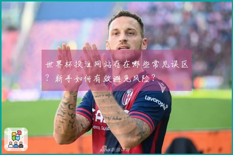 世界杯投注网站存在哪些常见误区？新手如何有效避免风险？