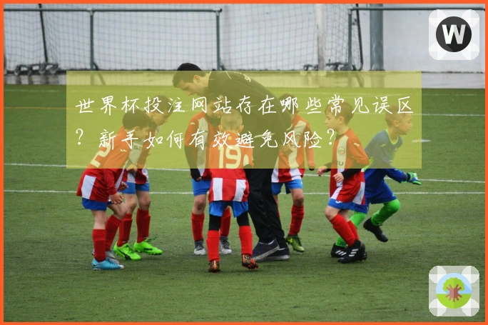 世界杯投注网站存在哪些常见误区？新手如何有效避免风险？